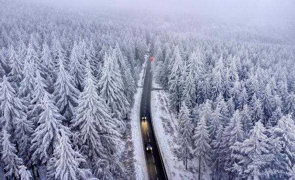 2022年12月5日，德国一辆汽车在法兰克福陶努斯地区森林中行驶，树木上覆盖着冰雪。 - 俄罗斯卫星通讯社