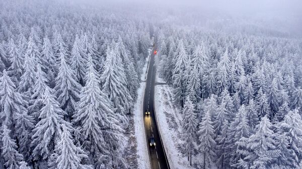 德国一辆汽车在法兰克福地区森林中行驶，树木上覆盖着冰雪。 - 俄罗斯卫星通讯社