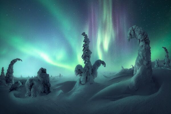 意大利攝影師尼科·里納爾蒂拍攝的極光作品《北方天空下》 - 俄羅斯衛星通訊社