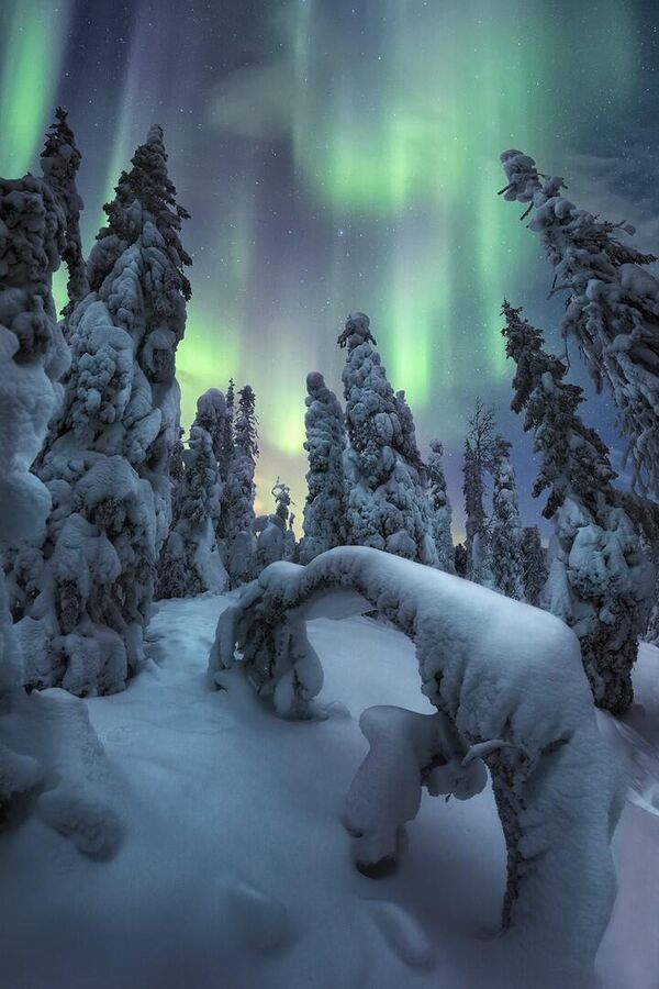 烏奈·拉拉亞拍攝的極光作品《冬季靈魂》 - 俄羅斯衛星通訊社