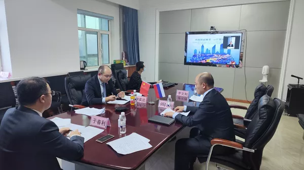 黑河市和阿穆尔州举办中俄企业家线上对接恳谈会 - 俄罗斯卫星通讯社