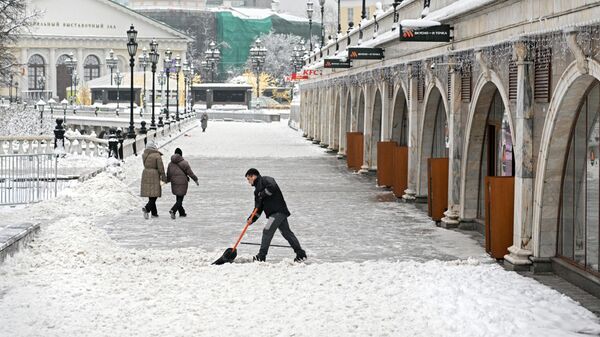 研究：不到三分之一俄罗斯人准备在冬季度假 - 俄罗斯卫星通讯社