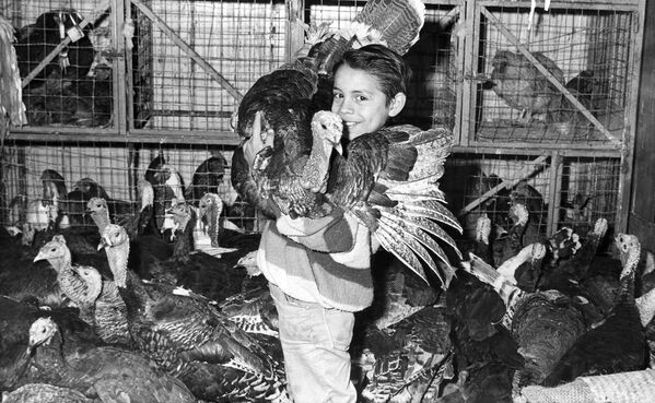 1964年12月10日,墨西哥城,一个男孩抱着家人为圣诞大餐准备的火鸡。 1964年12月10日,墨西哥城,一个男孩抱着家人为圣诞大餐准备的火鸡。 - 俄罗斯卫星通讯社