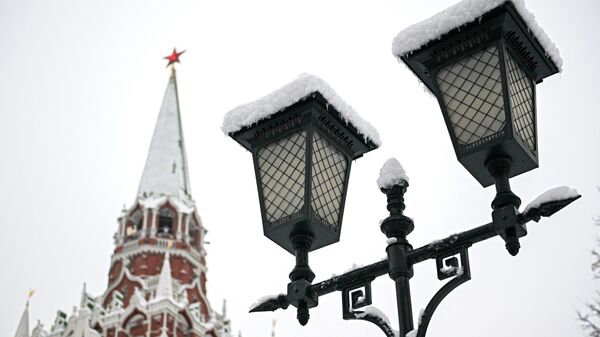 克宫：普京14日在年终总结后已指示总理和办公厅处理有关问题 - 俄罗斯卫星通讯社