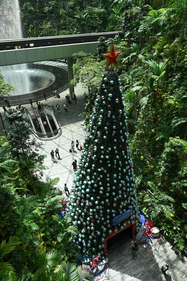 新加坡星耀樟宜機場布設的聖誕樹。 - 俄羅斯衛星通訊社