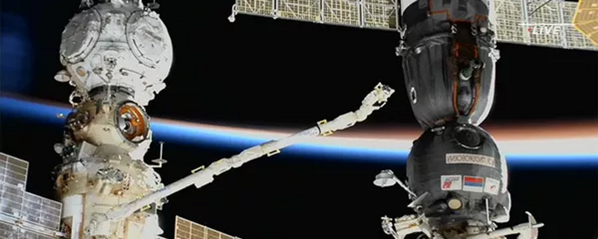 2023年9月飞赴的俄罗斯宇航员将在国际空间站研究在零重力下繁殖鹌鹑种群的可能性 - 俄罗斯卫星通讯社, 1920, 11.04.2023