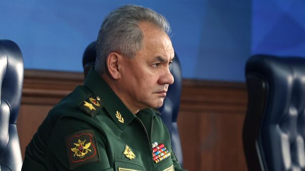 俄國防部：紹伊古抵達德黑蘭，將與伊朗軍事領導人會談 - 俄羅斯衛星通訊社