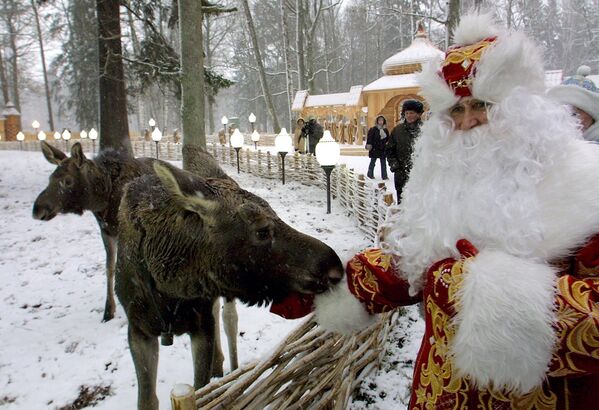 白俄羅斯別洛維熱樹林公園內的嚴寒老人。 - 俄羅斯衛星通訊社