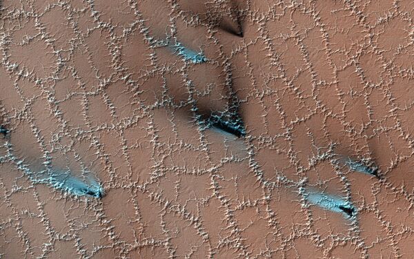 地球上的冰将火星表面分成了相等的等分。 - 俄罗斯卫星通讯社