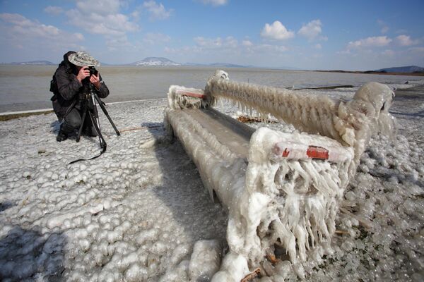 匈牙利，被冰層覆蓋的長凳。 - 俄羅斯衛星通訊社