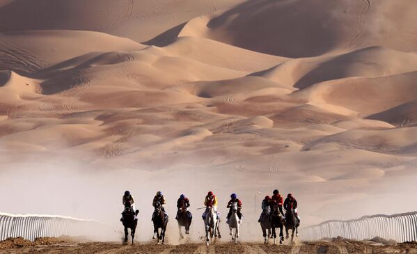 2022年12月23日，在阿布扎比2023年國際馬術節上，騎師們參加純種阿拉伯馬的比賽。 - 俄羅斯衛星通訊社