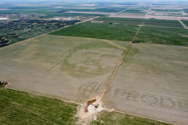 阿根廷科爾多瓦郊區的一處玉米地被製作成球員梅西的畫像。 - 俄羅斯衛星通訊社