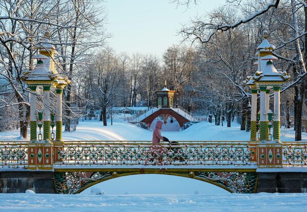 普希金城“皇村”景区的亚历山德罗夫花园。 - 俄罗斯卫星通讯社