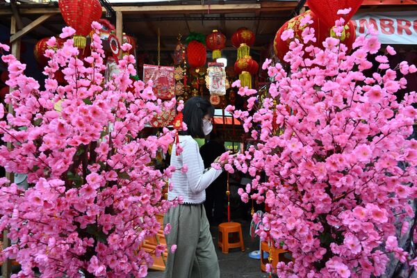 1月8日,农历新年前夕,印尼一名女子在雅加达购买新年装饰品和食物。 1月8日,农历新年前夕,印尼一名女子在雅加达购买新年装饰品和食物。 - 俄罗斯卫星通讯社