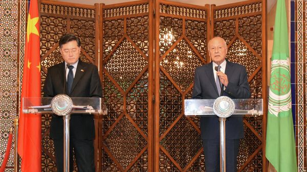 阿盟秘书长盖特（右）和中国外交部长秦刚在阿拉伯联盟开罗总部举行新闻发布会 - 俄罗斯卫星通讯社
