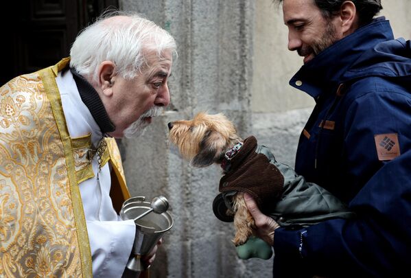 馬德里，一名牧師在聖安東尼節期間為狗狗送上祝福。 - 俄羅斯衛星通訊社