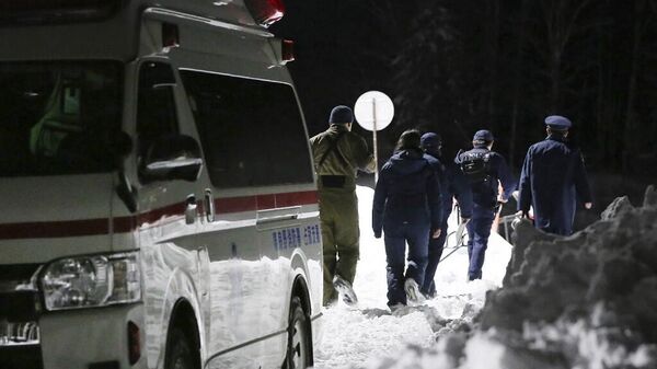 日本长野滑雪场发生雪崩并造成人员受伤 - 俄罗斯卫星通讯社