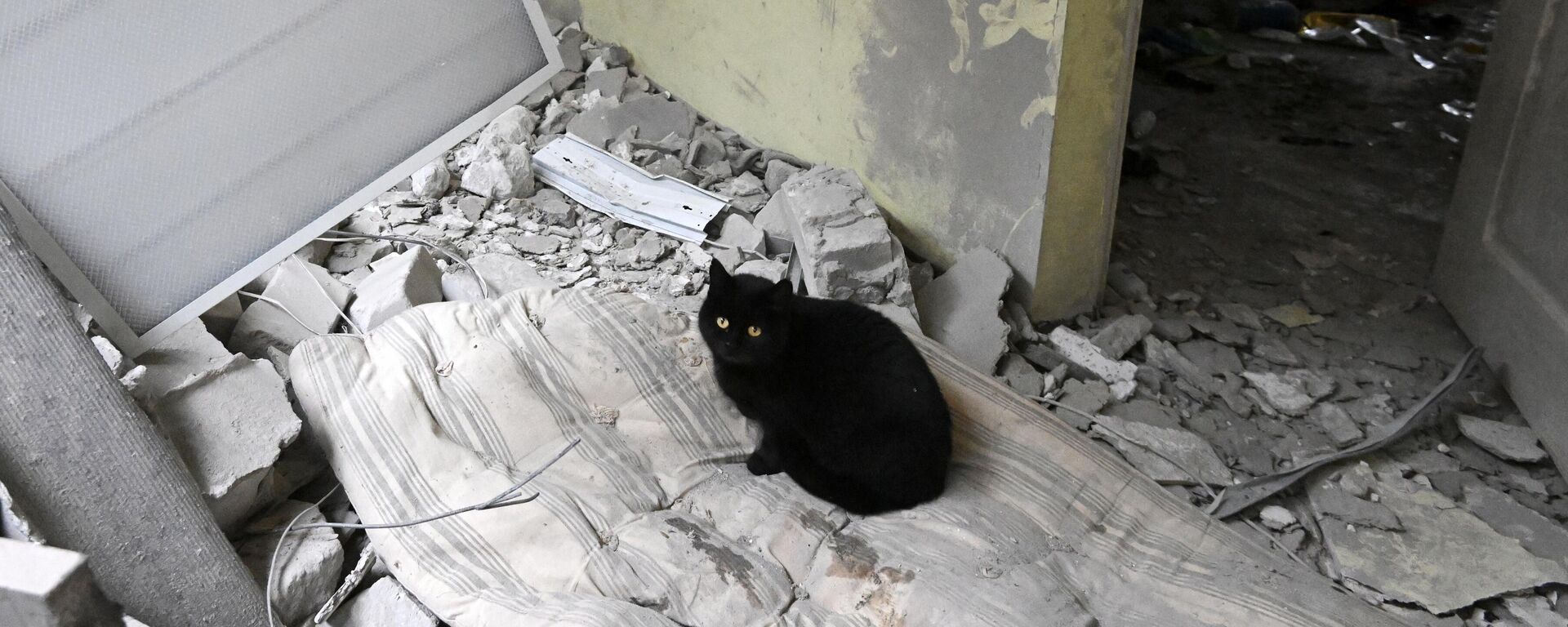 世卫组织：3月2日以来黎巴嫩92所卫生机构遭到打击 - 俄罗斯卫星通讯社, 1920, 08.04.2026