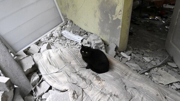 世卫组织：3月2日以来黎巴嫩92所卫生机构遭到打击 - 俄罗斯卫星通讯社