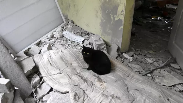 世卫组织：3月2日以来黎巴嫩92所卫生机构遭到打击 - 俄罗斯卫星通讯社