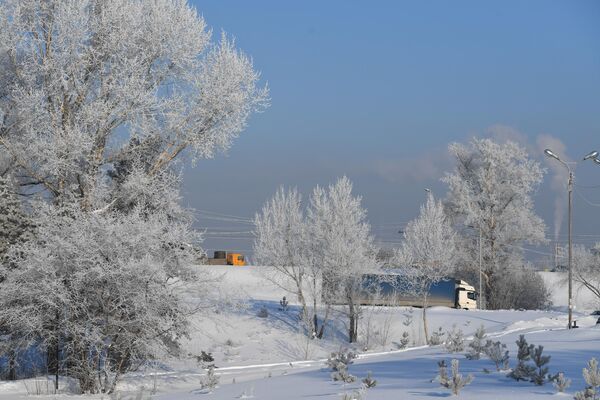 新西伯利亞鄂畢河附近的小區里樹木被冰霜覆蓋。 - 俄羅斯衛星通訊社