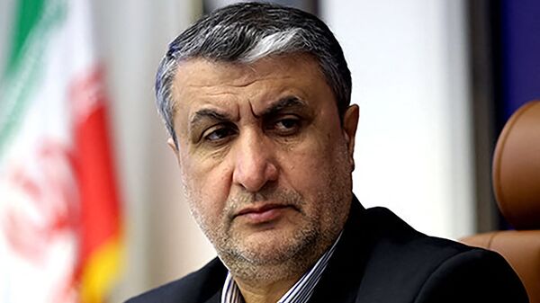 伊朗原子能组织负责人穆罕默德•伊斯拉米 - 俄罗斯卫星通讯社