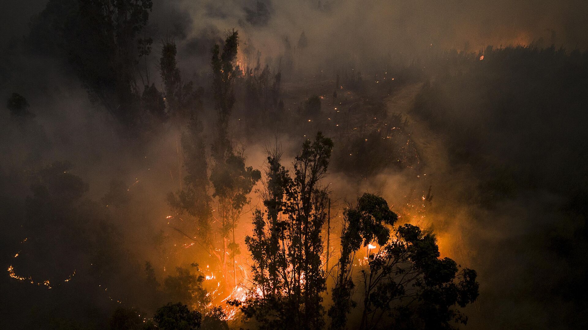 森林大火（智利） - 俄罗斯卫星通讯社, 1920, 08.02.2023
