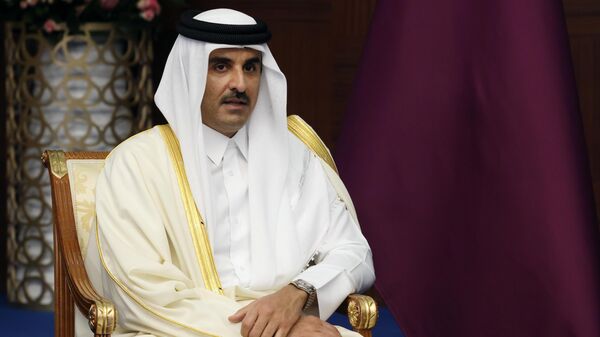 克里姆林宮：卡塔爾首相將埃米爾信函轉交給普京總統 - 俄羅斯衛星通訊社