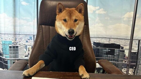 馬斯克“任命”一隻狗擔任推特首席執行官 - 俄羅斯衛星通訊社