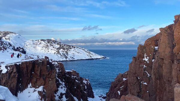 俄科学家发现可清除北极土壤中重金属和石油的“隐形清洁工” - 俄罗斯卫星通讯社