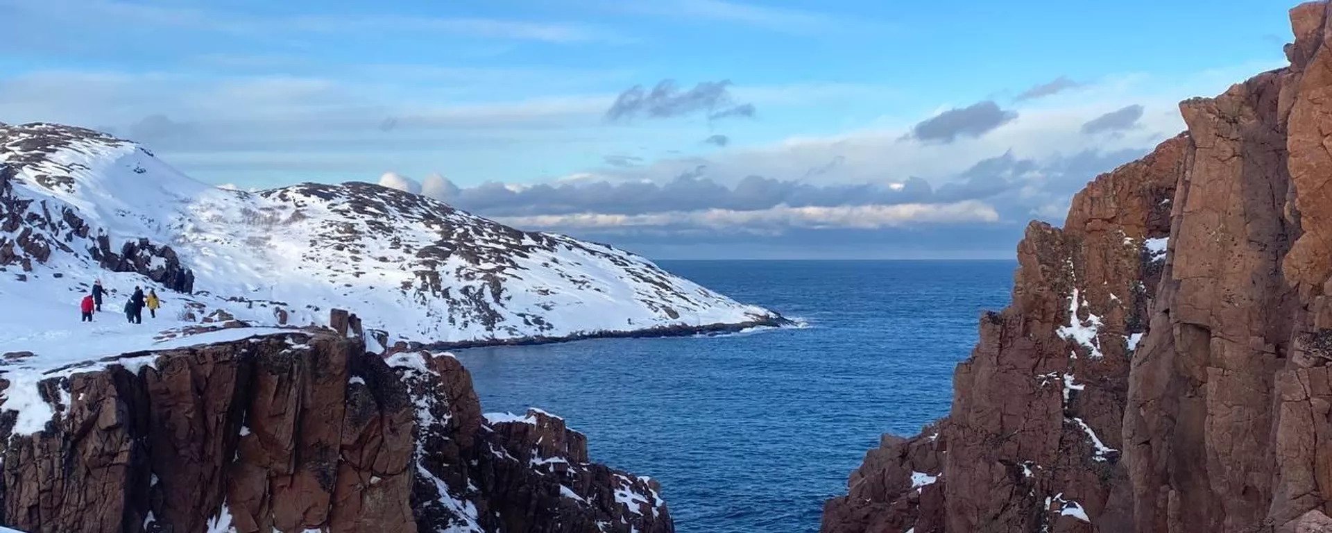 俄科学家发现可清除北极土壤中重金属和石油的“隐形清洁工” - 俄罗斯卫星通讯社, 1920, 17.03.2026