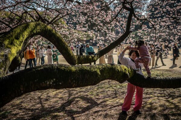 妈妈和孩子在樱花树下玩耍 - 俄罗斯卫星通讯社