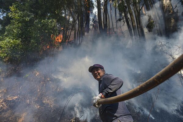 智利埃爾帕塔古阿爾，一名志願者在滅火 - 俄羅斯衛星通訊社