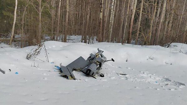 俄莫斯科州政府稱一或以民用基礎設施為目標的無人機在當地墜落 - 俄羅斯衛星通訊社