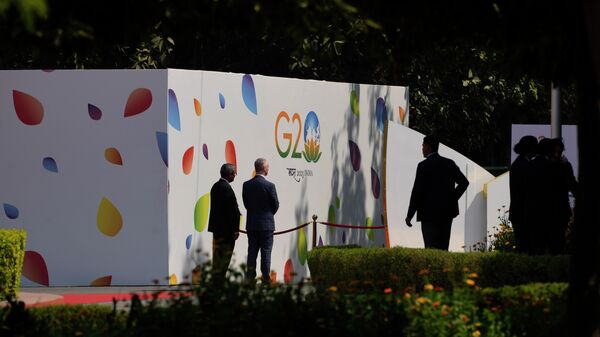 普京出席G20新德里峰会的形式尚未确定 - 俄罗斯卫星通讯社