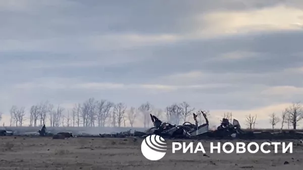 頓涅茨克共和國境內墜毀的軍機已完全燒毀 - 俄羅斯衛星通訊社