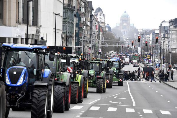 正在过马路的行人。比利时农民在布鲁塞尔举行示威游行，抗议政府关于农业和畜牧业氮肥使用和氮排放的限制政策 - 俄罗斯卫星通讯社