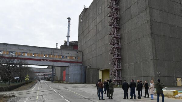 扎波罗热核电站 - 俄罗斯卫星通讯社