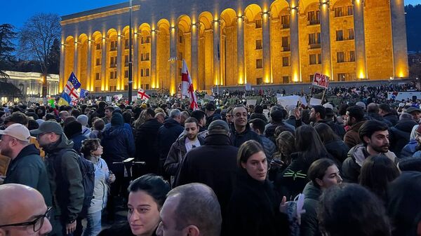 第比利斯抗议活动 - 俄罗斯卫星通讯社