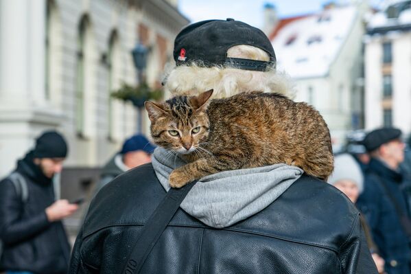 里加市政廳廣場，一個男子帶著寵物貓參加保護詩人普希金紀念碑的集會 - 俄羅斯衛星通訊社