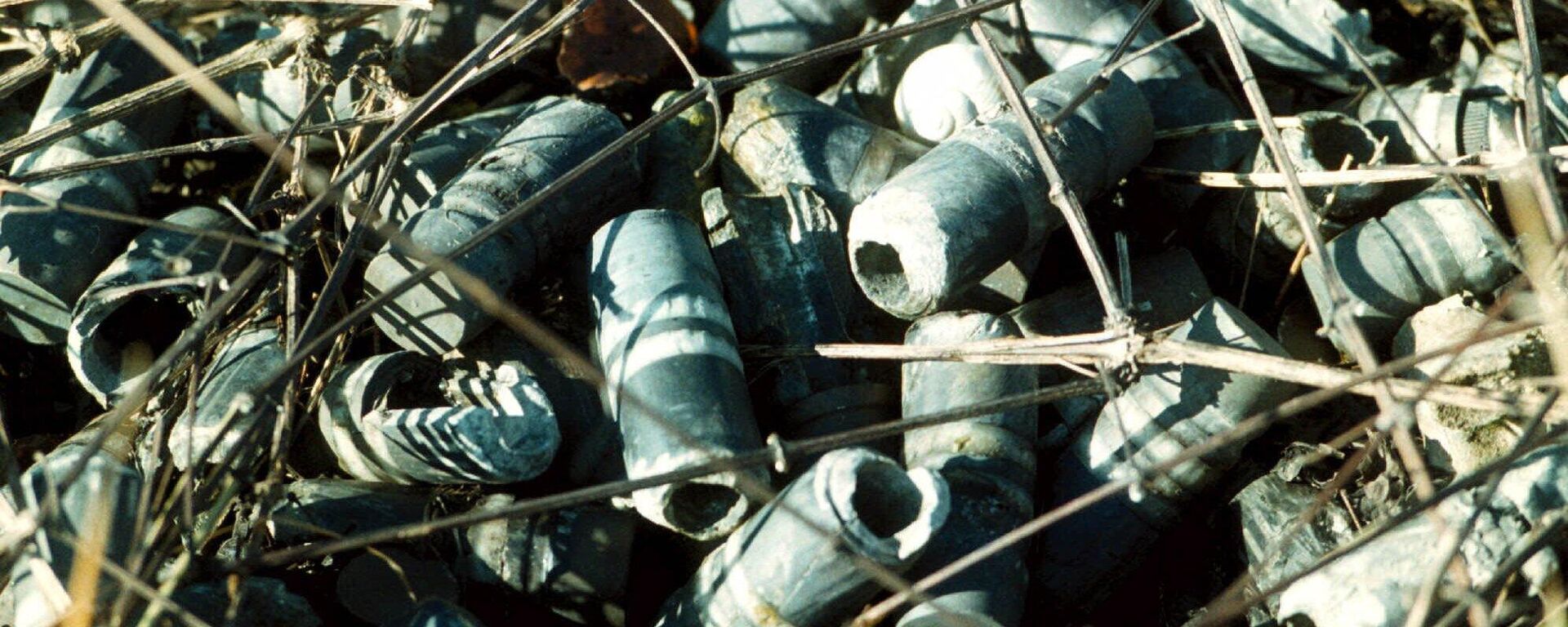 Куча 30-мм противотанковых снарядов на бывшем военном заводе в пригороде Сараево  - 俄罗斯卫星通讯社, 1920, 24.03.2023