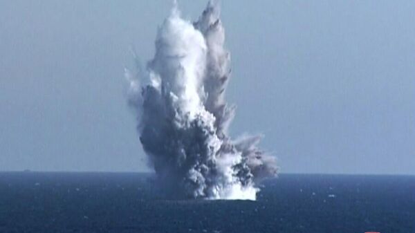 朝鲜核无人潜水攻击艇 - 俄罗斯卫星通讯社