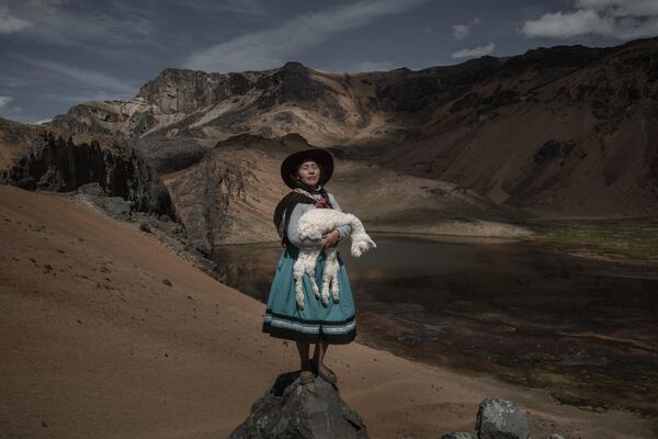 秘魯攝影師Alessandro Cinque憑借作品《Alpaqueros》，獲得本屆大賽的“South America Stories”類別獎項 - 俄羅斯衛星通訊社