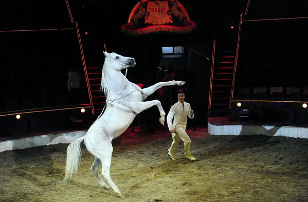 匈牙利驯马师弗洛里安·里赫特与马匹演员在布达佩斯马戏院舞台上表演。 - 俄罗斯卫星通讯社