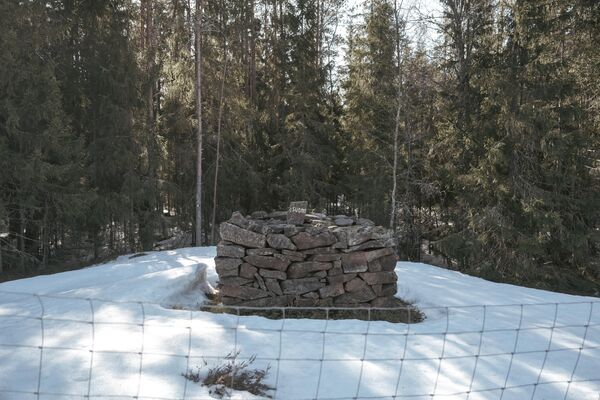 芬兰伊马特拉，芬俄边境上写有“芬兰”字样的石头。 - 俄罗斯卫星通讯社