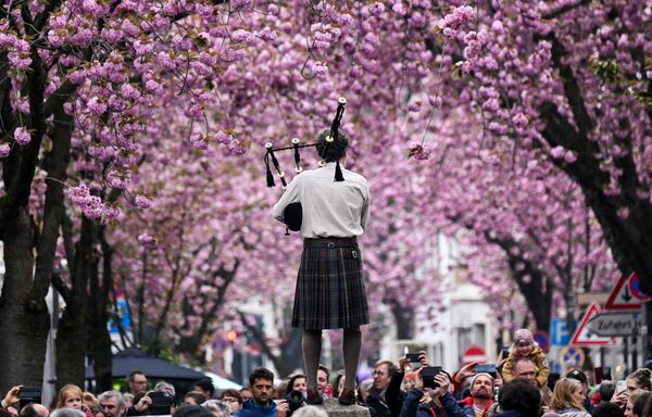 2023年4月16日，德國波恩，一位音樂家吹著風笛，遊客在盛開的櫻花樹下散步。 - 俄羅斯衛星通訊社