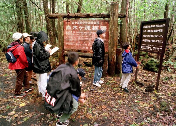 1998年10月22日，一群小学生在富士山脚下的树林中阅读张贴的标志。这片广阔的森林是自杀者的热门目的地。 - 俄罗斯卫星通讯社