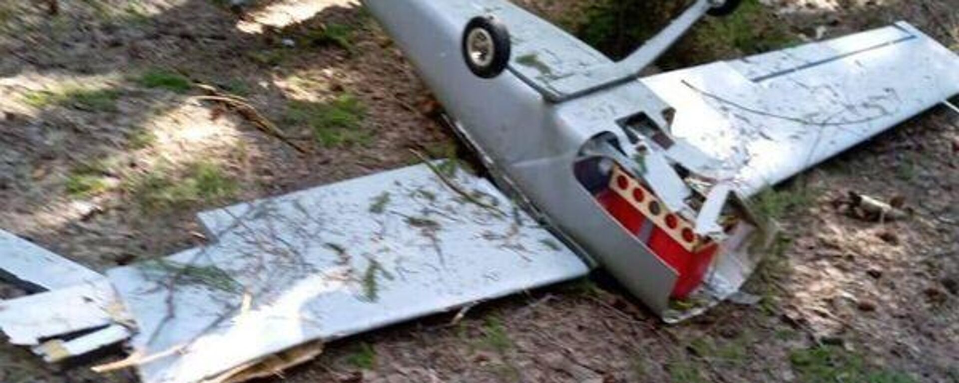 州长：一架无人机在沃罗涅日州坠毁，2人受伤 - 俄罗斯卫星通讯社, 1920, 09.06.2023