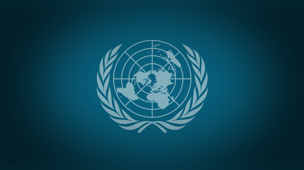 聯合國安理會 - 俄羅斯衛星通訊社