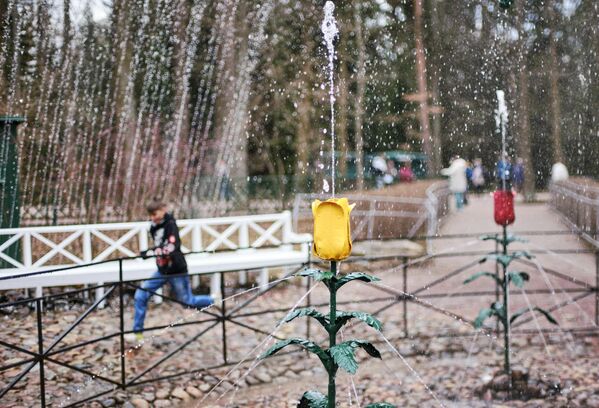 俄罗斯国立博物馆保护区“彼得大帝夏宫”园区内的“橡树”水帘喷泉。 - 俄罗斯卫星通讯社